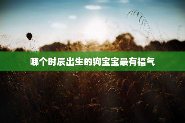 哪个时辰出生的狗宝宝最有福气