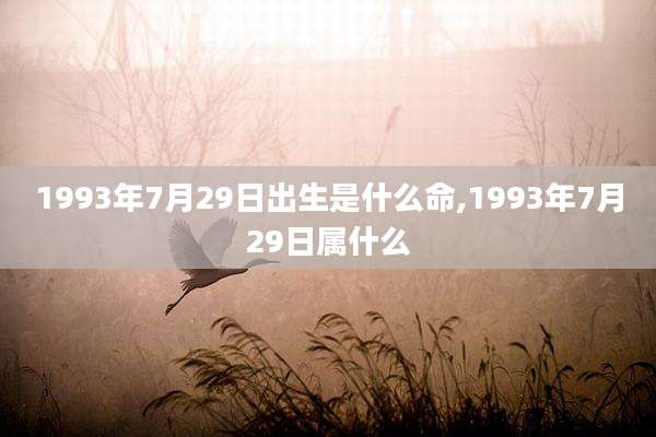 1993年7月29日出生是什么命,1993年7月29日属什么