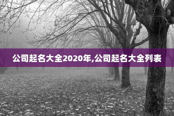 公司起名大全2020年,公司起名大全列表