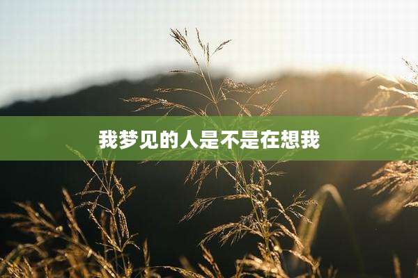 我梦见的人是不是在想我