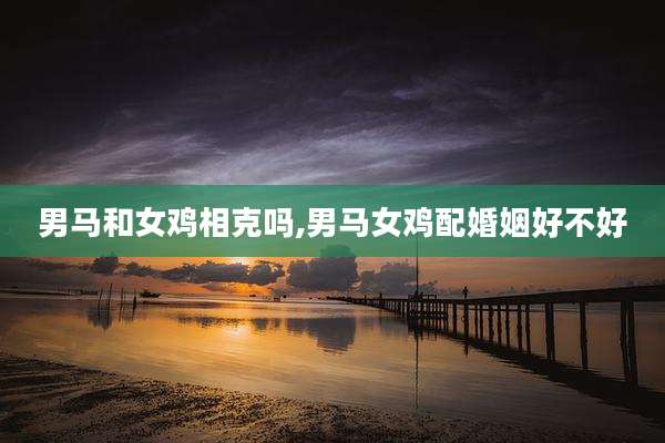 男马和女鸡相克吗,男马女鸡配婚姻好不好