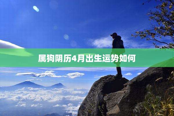 属狗阴历4月出生运势如何