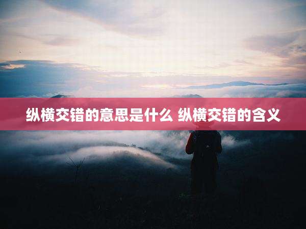 纵横交错的意思是什么 纵横交错的含义
