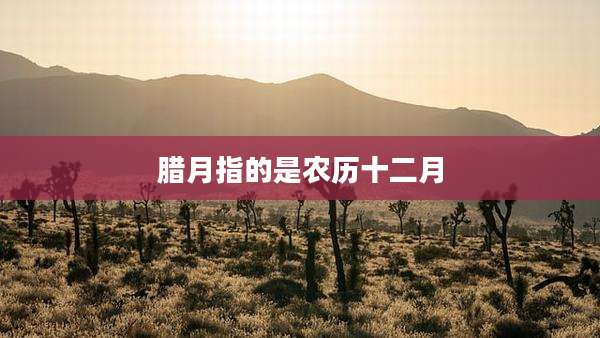 腊月指的是农历十二月