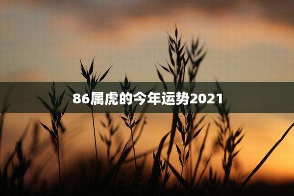 86属虎的今年运势2021