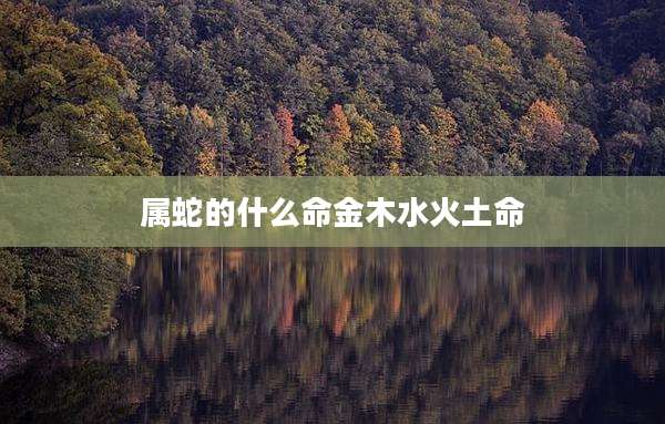 属蛇的什么命金木水火土命