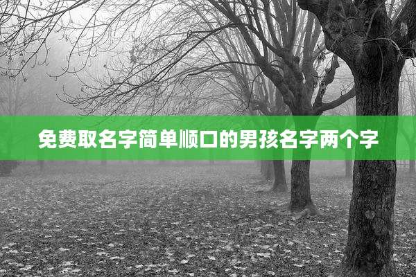 免费取名字简单顺口的男孩名字两个字