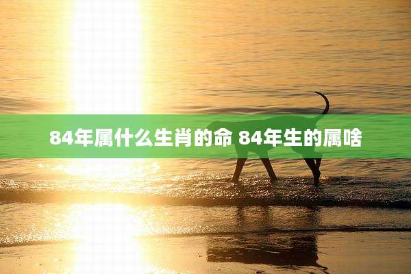 84年属什么生肖的命 84年生的属啥