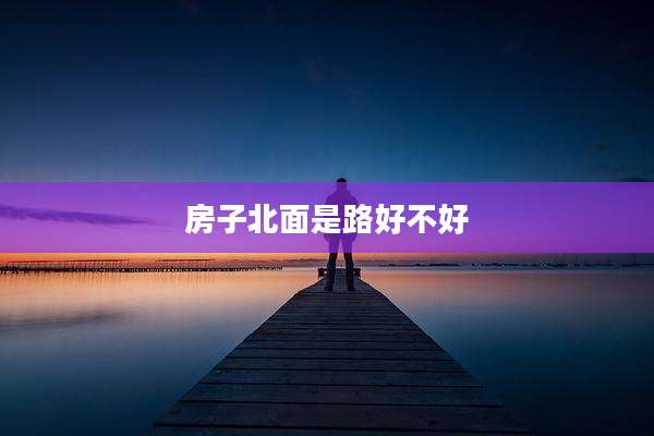 房子北面是路好不好