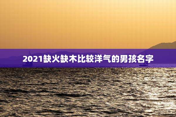 2021缺火缺木比较洋气的男孩名字