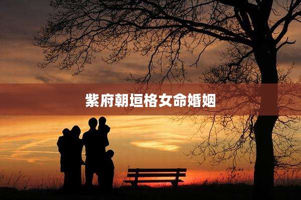紫府朝垣格女命婚姻