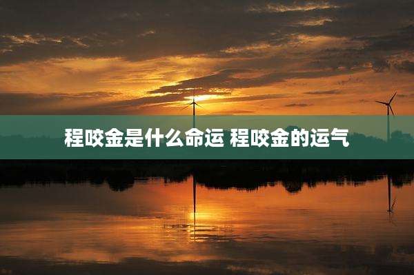 程咬金是什么命运 程咬金的运气
