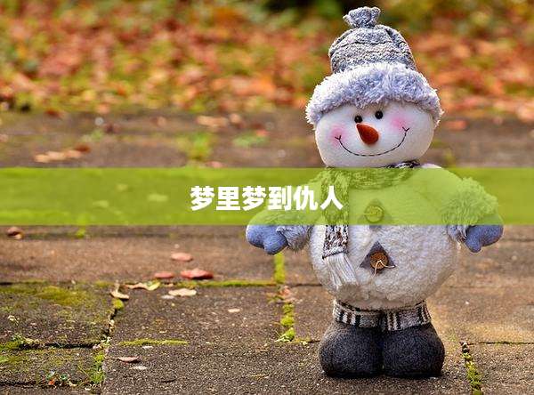 梦里梦到仇人