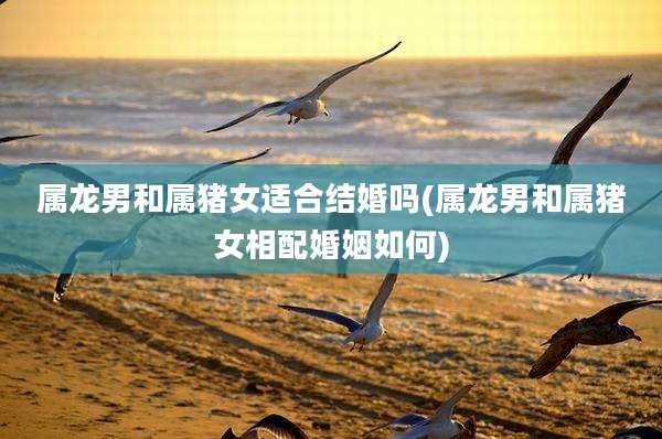 属龙男和属猪女适合结婚吗(属龙男和属猪女相配婚姻如何)