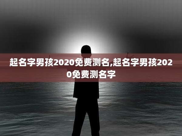 起名字男孩2020免费测名,起名字男孩2020免费测名字