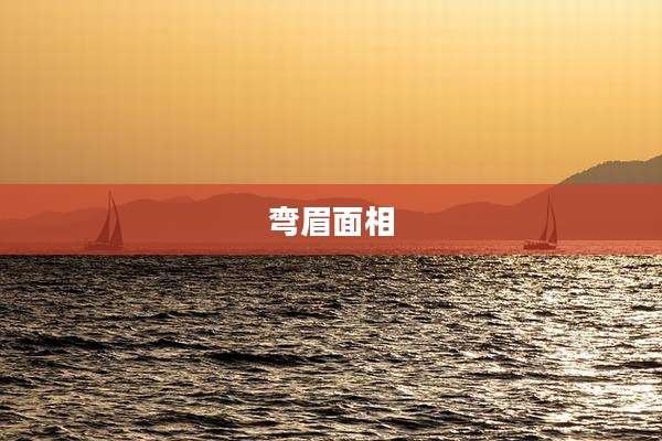 弯眉面相