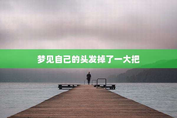 梦见自己的头发掉了一大把