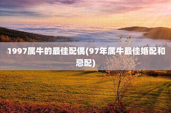 1997属牛的最佳配偶(97年属牛最佳婚配和忌配)
