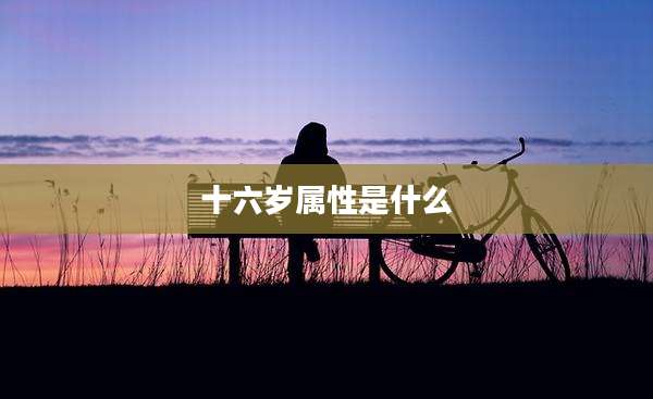 十六岁属性是什么