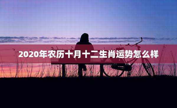 2020年农历十月十二生肖运势怎么样
