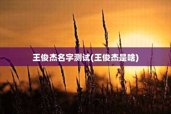 王俊杰名字测试(王俊杰是啥)