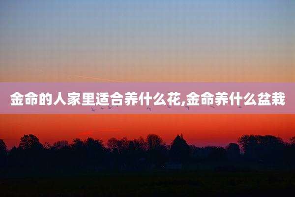 金命的人家里适合养什么花,金命养什么盆栽
