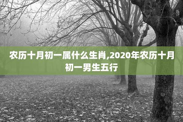 农历十月初一属什么生肖,2020年农历十月初一男生五行