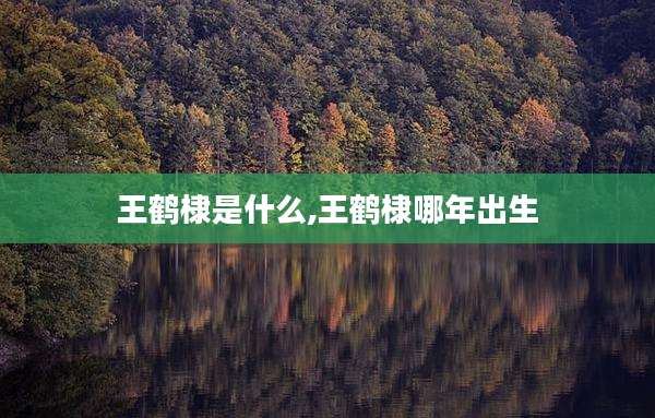 王鹤棣是什么,王鹤棣哪年出生