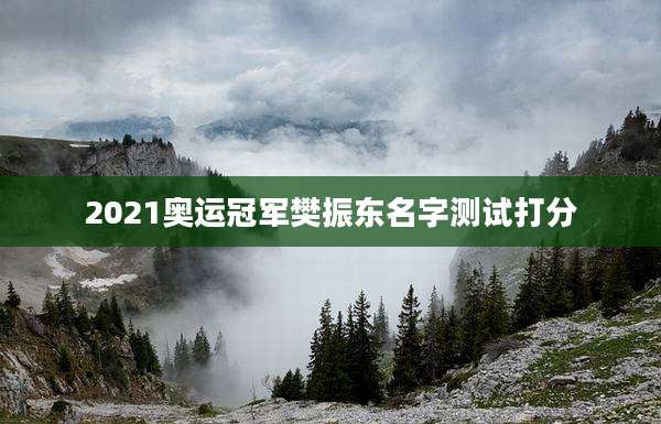 2021奥运冠军樊振东名字测试打分