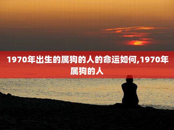 1970年出生的属狗的人的命运如何,1970年属狗的人