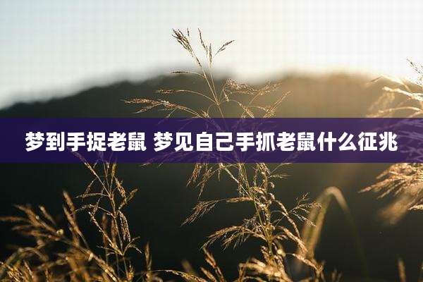 梦到手捉老鼠 梦见自己手抓老鼠什么征兆
