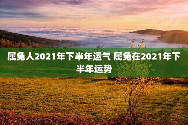 属兔人2021年下半年运气 属兔在2021年下半年运势