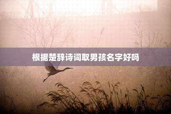 根据楚辞诗词取男孩名字好吗