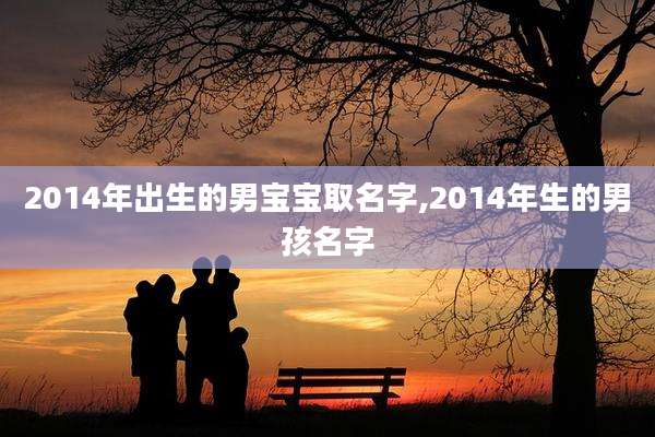 2014年出生的男宝宝取名字,2014年生的男孩名字