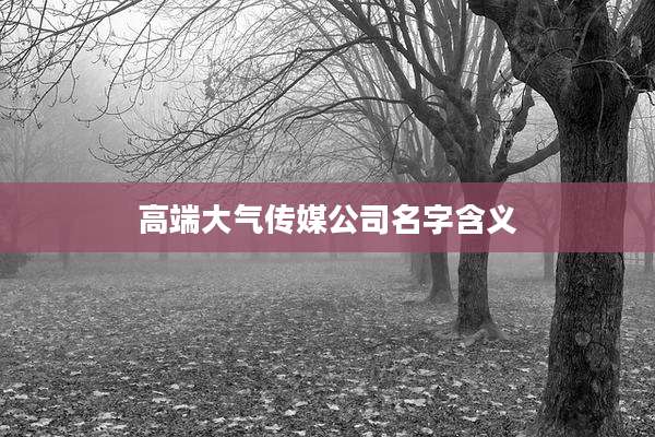 高端大气传媒公司名字含义