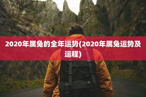 2020年属兔的全年运势(2020年属兔运势及运程)