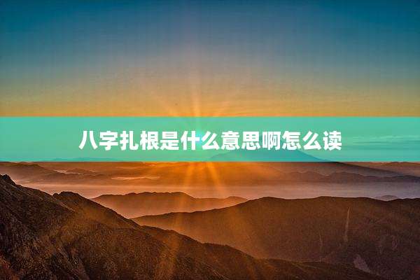 八字扎根是什么意思啊怎么读