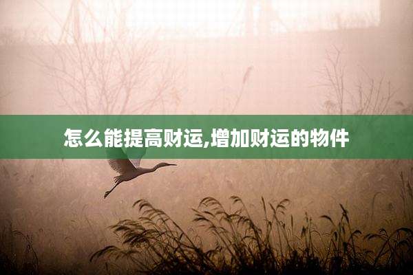怎么能提高财运,增加财运的物件
