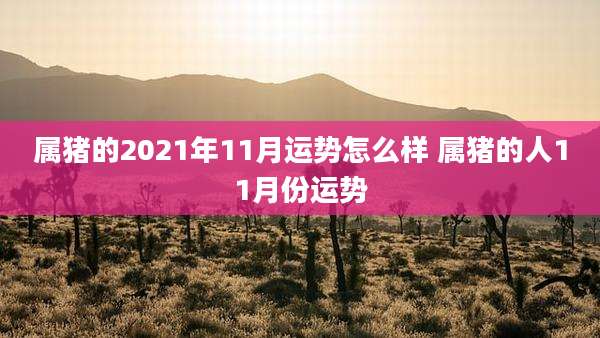 属猪的2021年11月运势怎么样 属猪的人11月份运势