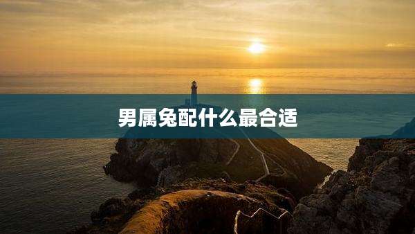 男属兔配什么最合适