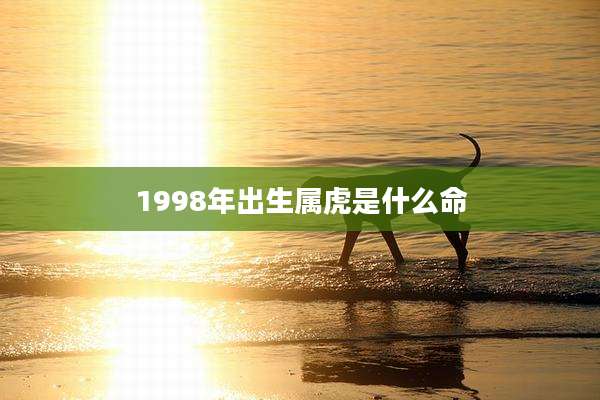 1998年出生属虎是什么命