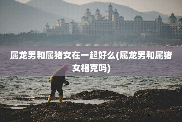 属龙男和属猪女在一起好么(属龙男和属猪女相克吗)