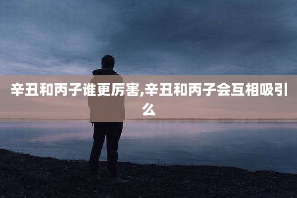 辛丑和丙子谁更厉害,辛丑和丙子会互相吸引么