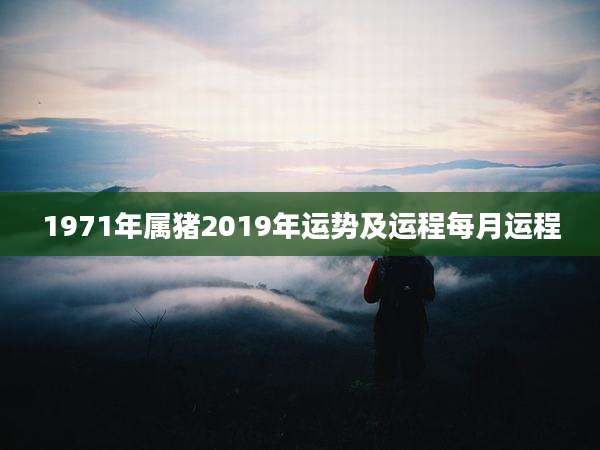 1971年属猪2019年运势及运程每月运程