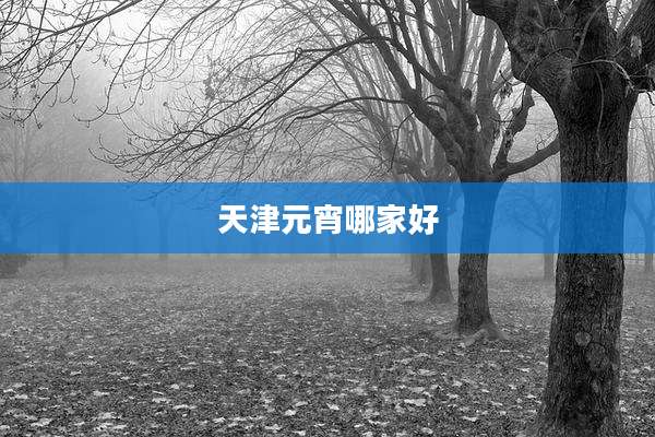 天津元宵哪家好