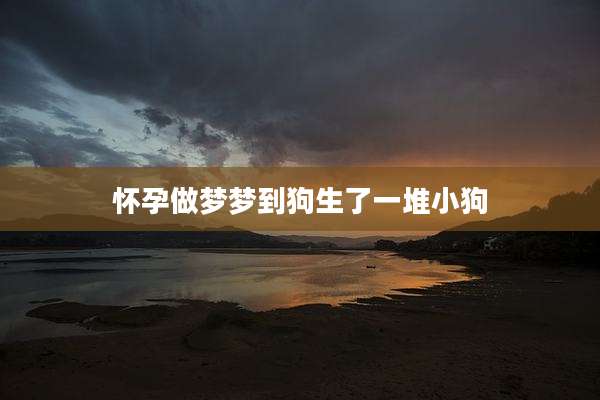 怀孕做梦梦到狗生了一堆小狗