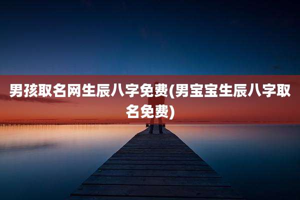 男孩取名网生辰八字免费(男宝宝生辰八字取名免费)