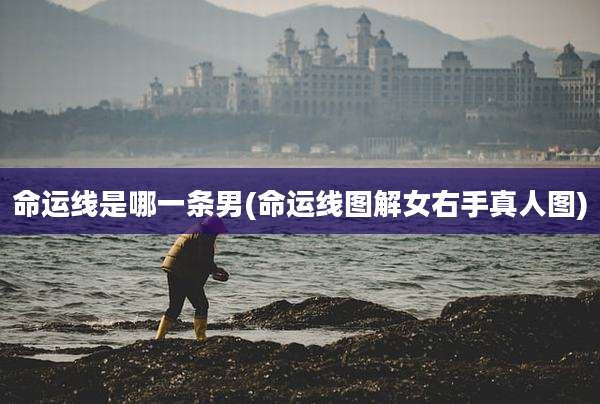 命运线是哪一条男(命运线图解女右手真人图)