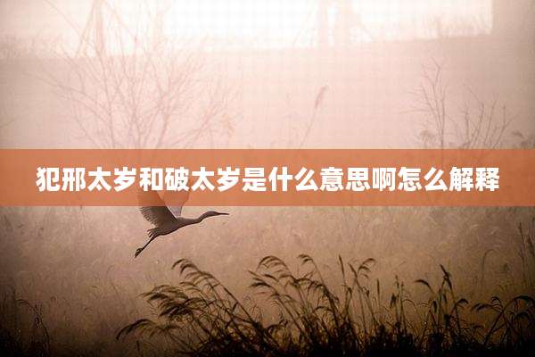 犯邢太岁和破太岁是什么意思啊怎么解释