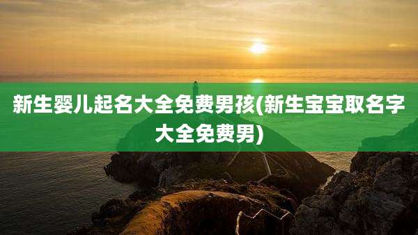 新生婴儿起名大全免费男孩(新生宝宝取名字大全免费男)